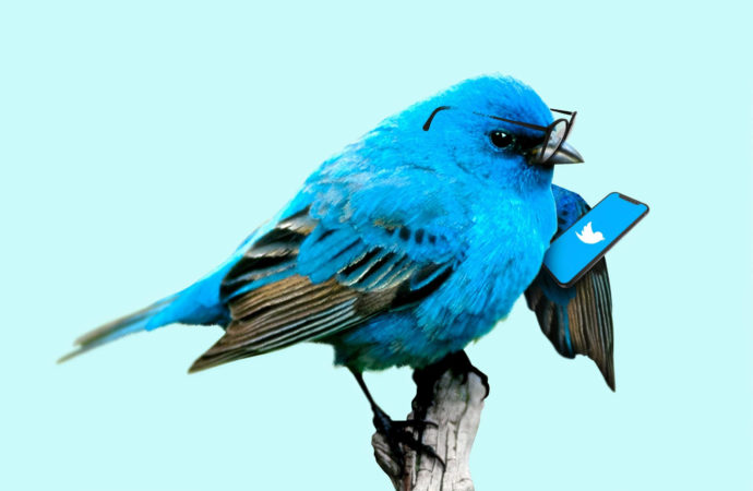 Niedługo zapłacimy za Twittera? Na razie to tylko testy…